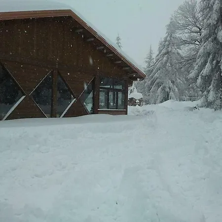 Bed & Breakfast Da Rosalbino *